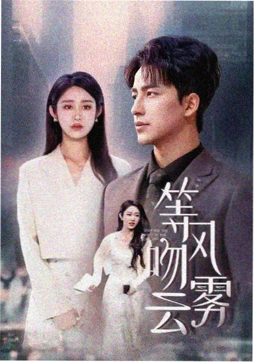 毒舌律师 西瓜视频免费
